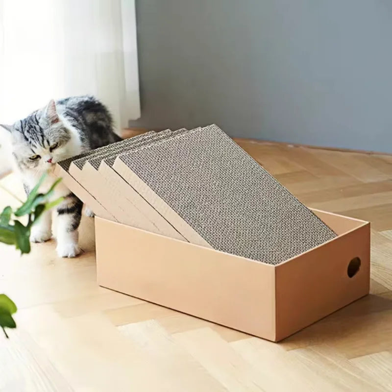 Cat Scratcher Box Set of 4 – A Season of Scratching Sorted