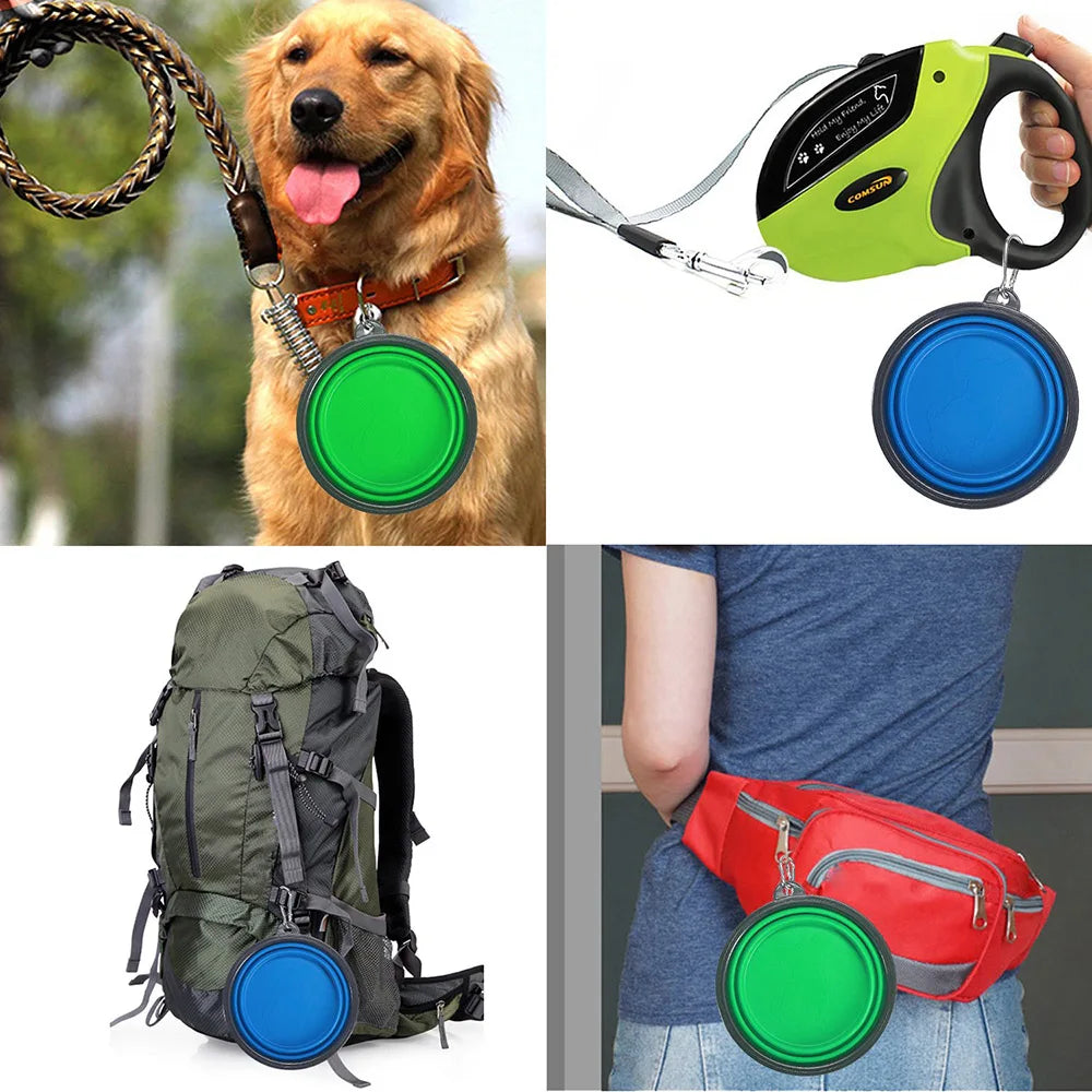Green and blue collapsible pet travel bowls clipped to a backpack, leash, and waist bag