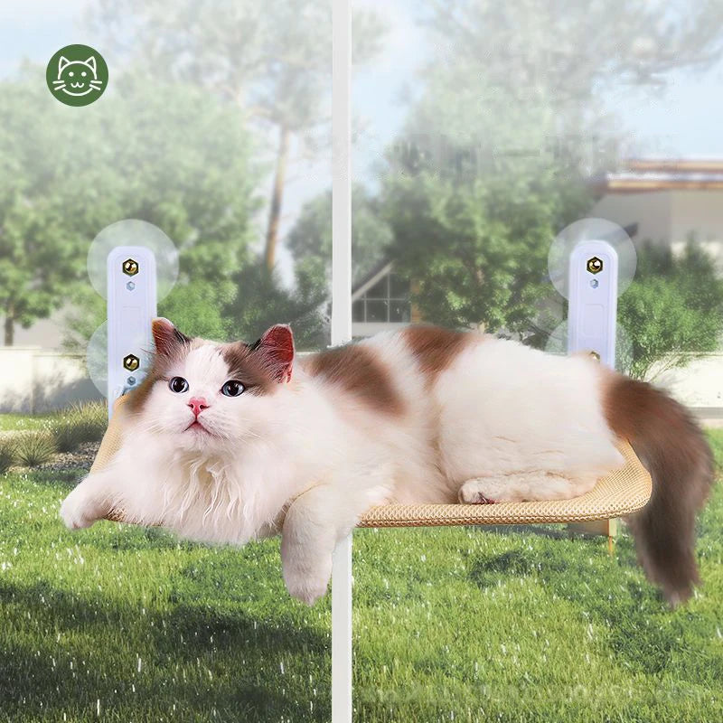 Window Hammock – A Front Row Seat on the Sunny Side