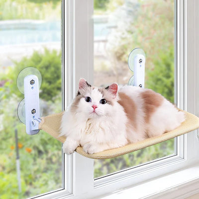 Window Hammock – A Front Row Seat on the Sunny Side