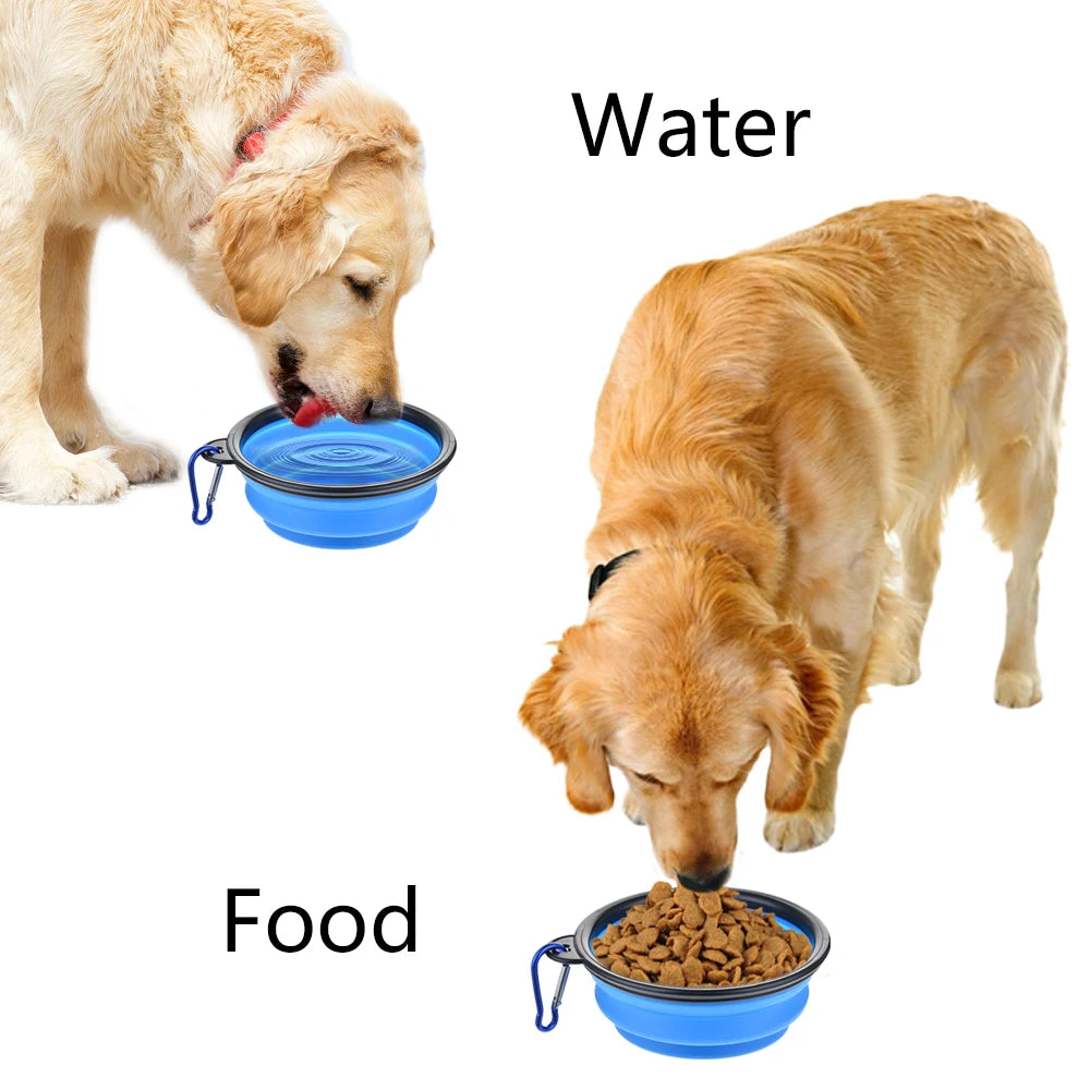 Blue collapsible pet travel bowl used for food and water